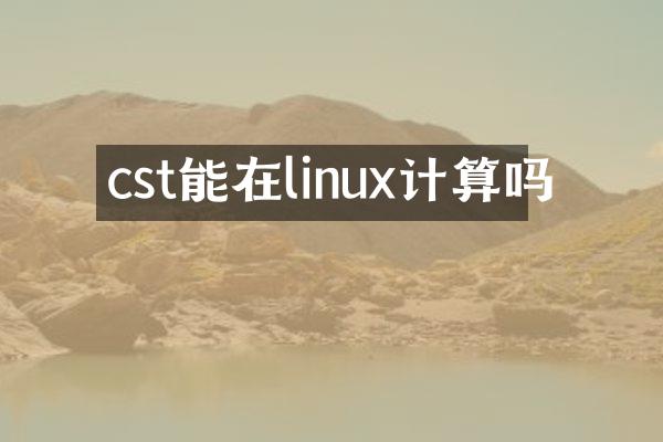 cst能在linux计算吗