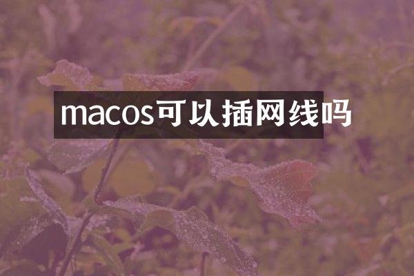 macos可以插网线吗