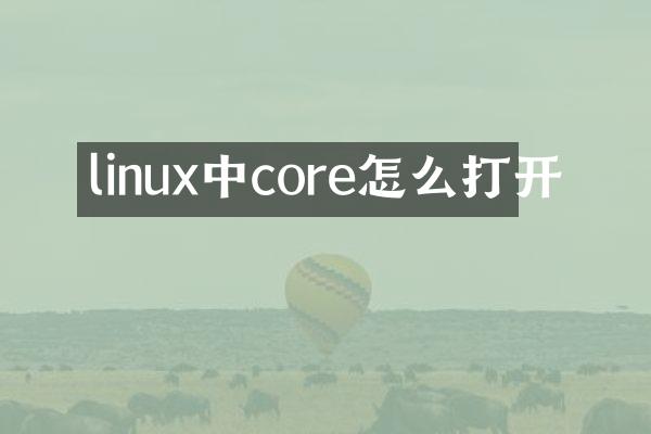 linux中core怎么打开