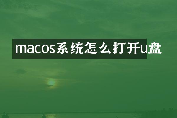 macos系统怎么打开u盘