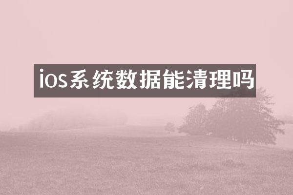 ios系统数据能清理吗