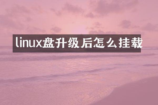 linux盘升级后怎么挂载