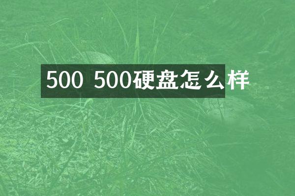 500 500硬盘怎么样