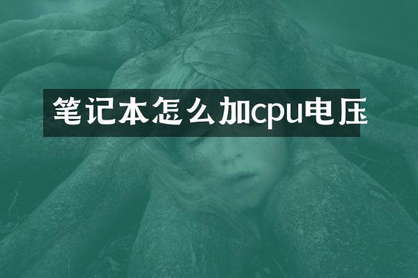 笔记本怎么加cpu电压