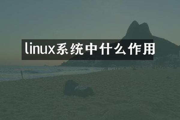 linux系统中什么作用