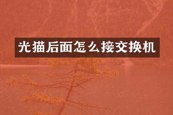 光猫后面怎么接交换机