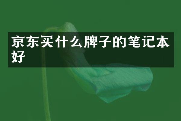 京东买什么牌子的笔记本好