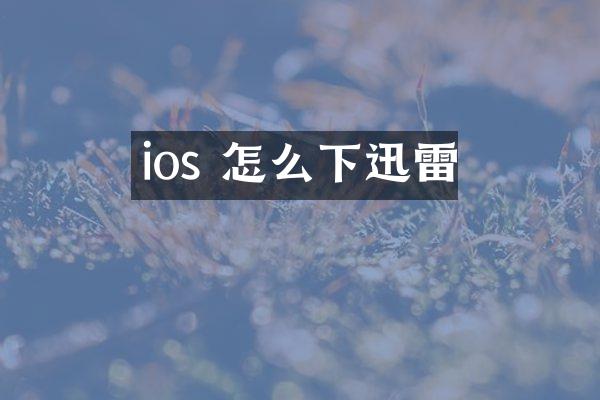 ios 怎么下迅雷