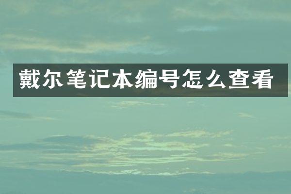 戴尔笔记本编号怎么查看