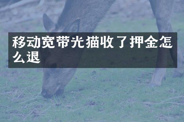 移动宽带光猫收了押金怎么退