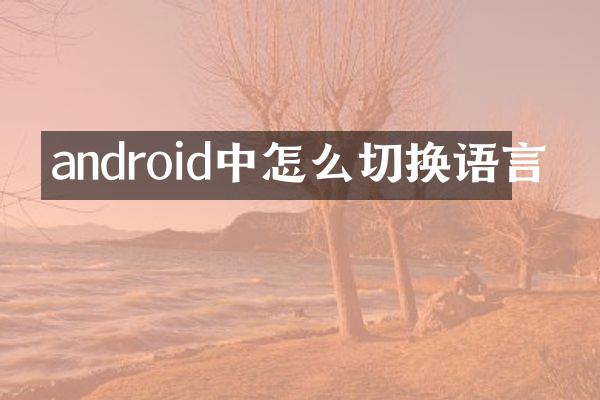 android中怎么切换语言