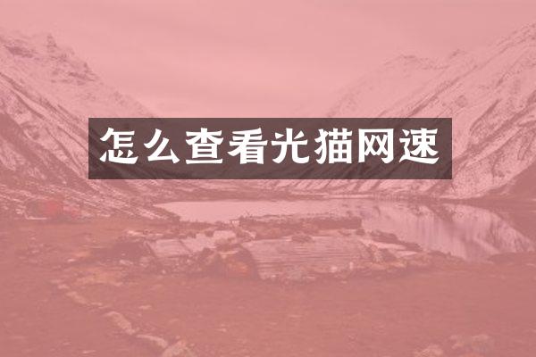 怎么查看光猫网速