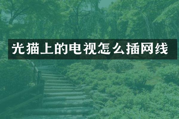 光猫上的电视怎么插网线