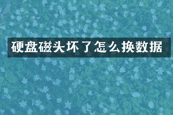 硬盘磁头坏了怎么换数据