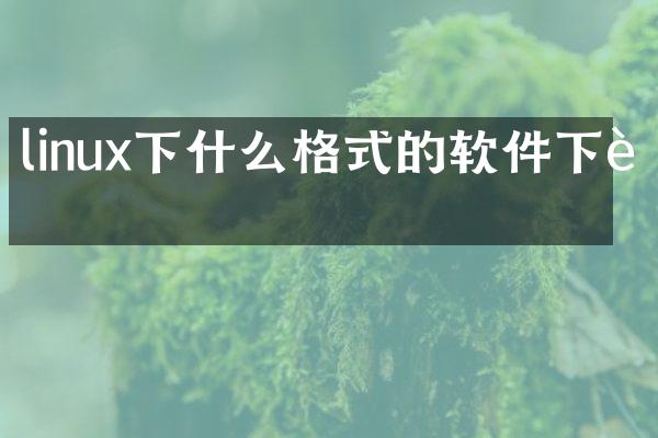 linux下什么格式的软件下载
