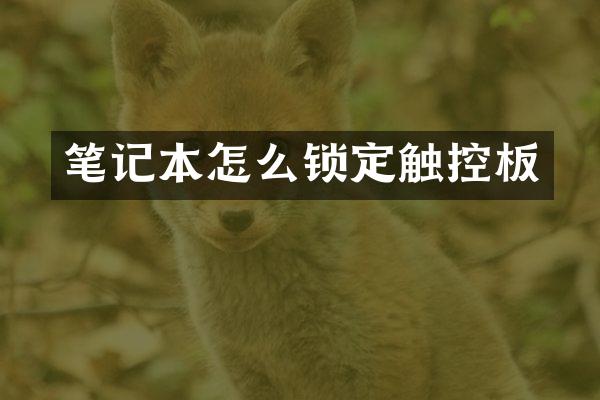 笔记本怎么锁定触控板