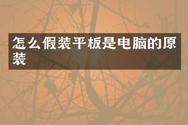 怎么假装平板是电脑的原装