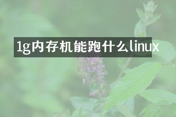 1g内存机能跑什么linux