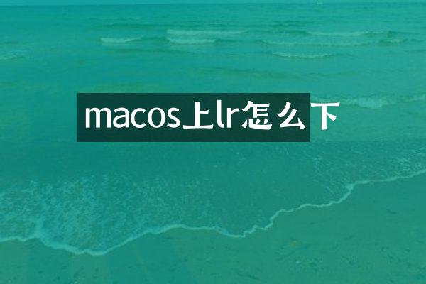 macos上lr怎么下