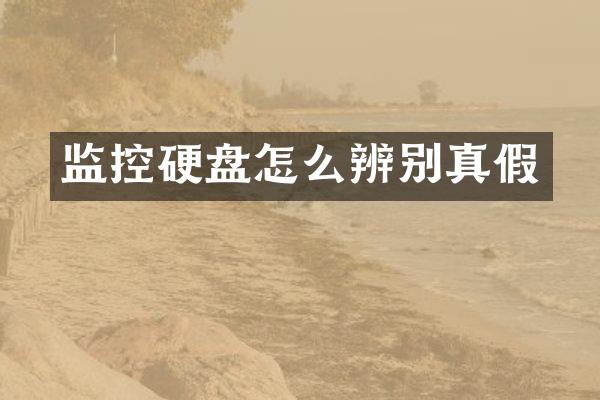 监控硬盘怎么辨别真假