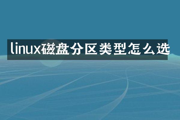 linux磁盘分区类型怎么选