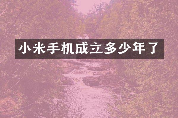 小米手机成立多少年了