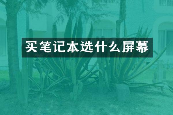 买笔记本选什么屏幕