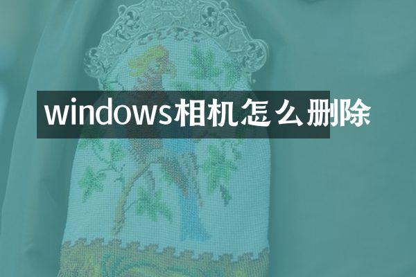 windows相机怎么删除