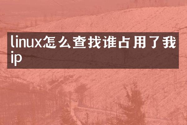 linux怎么查找谁占用了我的ip