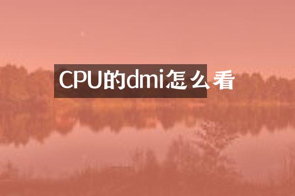 CPU的dmi怎么看