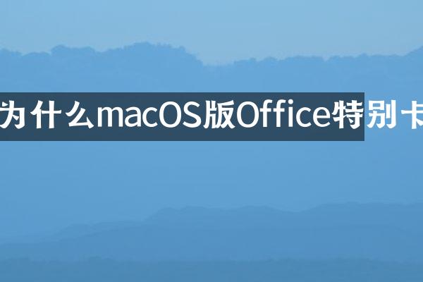 为什么macOS版Office特别卡