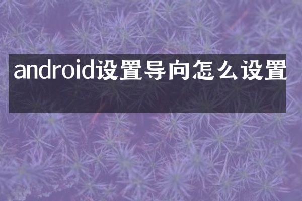 android设置导向怎么设置完