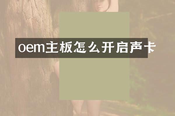 oem主板怎么开启声卡