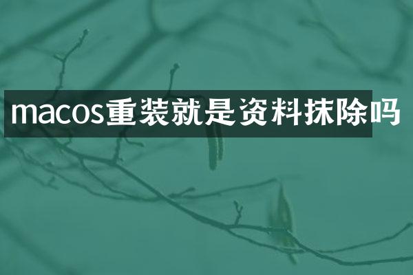 macos重装就是资料抹除吗
