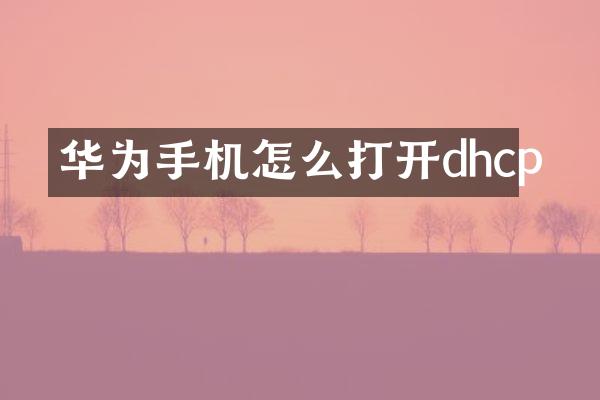 华为手机怎么打开dhcp