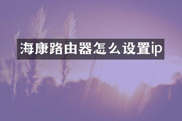 海康路由器怎么设置ip
