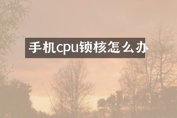 手机cpu锁核怎么办