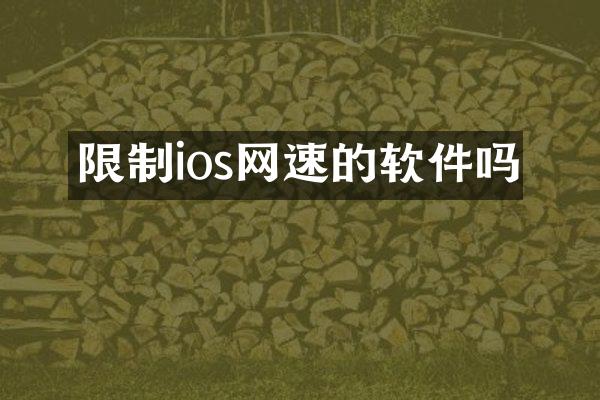 限制ios网速的软件吗