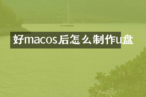 好macos后怎么制作u盘