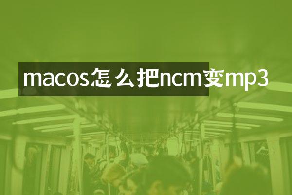macos怎么把ncm变mp3