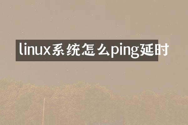 linux系统怎么ping延时