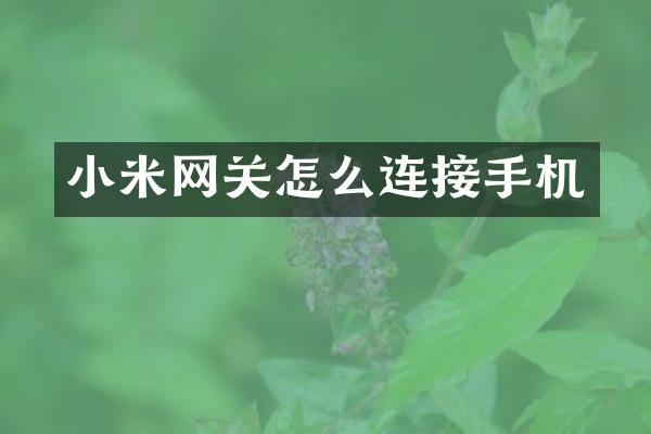小米网关怎么连接手机