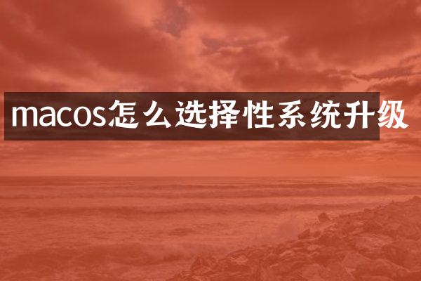 macos怎么选择性系统升级