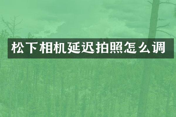 相机延迟拍照怎么调