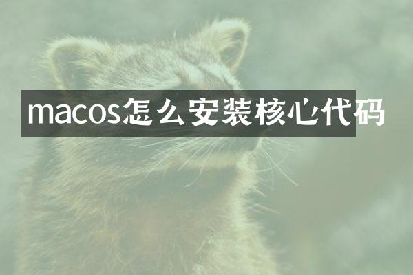 macos怎么安装核心代码