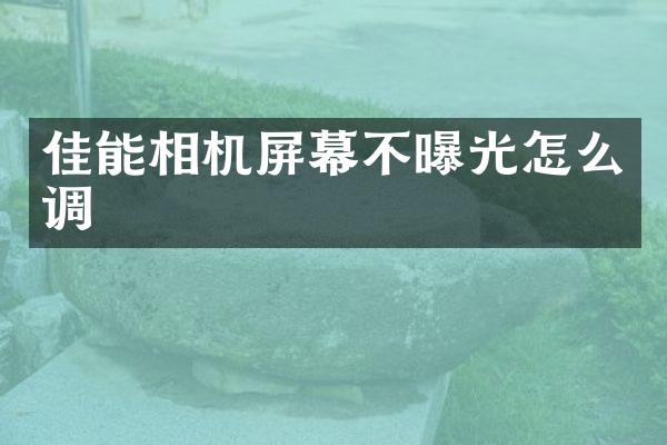 佳能相机屏幕不曝光怎么调