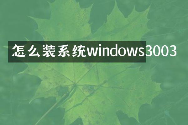 怎么装系统windows3003
