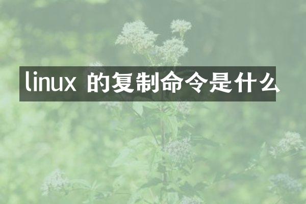 linux 的复制命令是什么