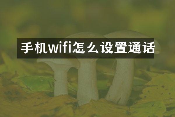 手机wifi怎么设置通话