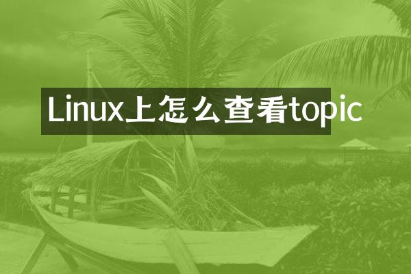Linux上怎么查看topic